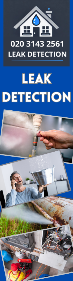 Hayesbr2 Leak Detection