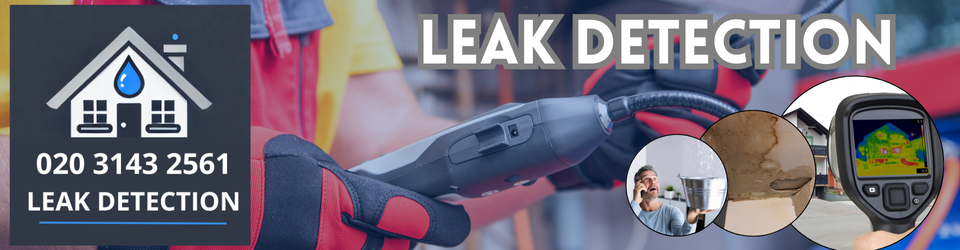 Hayesbr2 Leak Detection