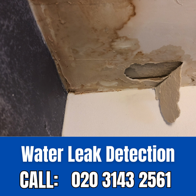 Expert Water Leak Detection Services in Hayesbr2 | Hayesbr2 Leak Detection